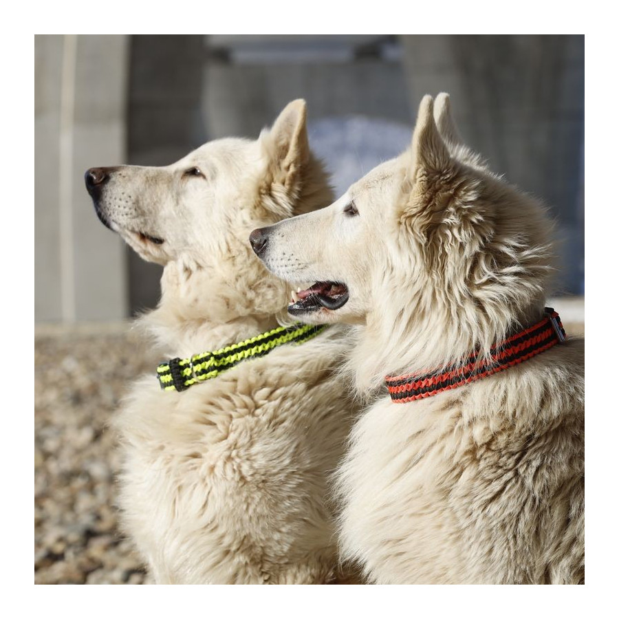 Cordell paracord nastavitelný obojek Lassie pro psy reflexní