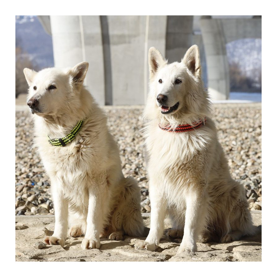 Cordell paracord nastavitelný obojek Lassie pro psy reflexní