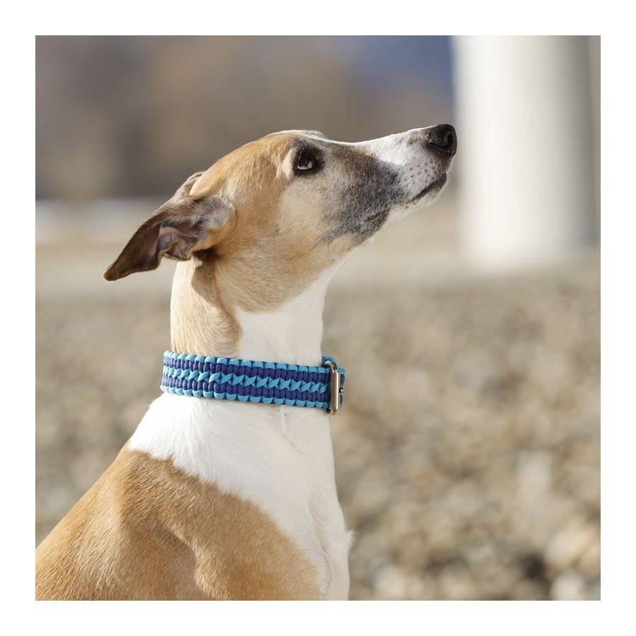 Cordell paracord adjustable collar Lassie for dogs blue