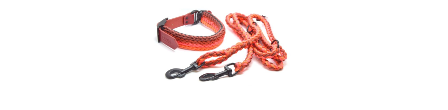 Paracord dog collar & leash sets for better price.